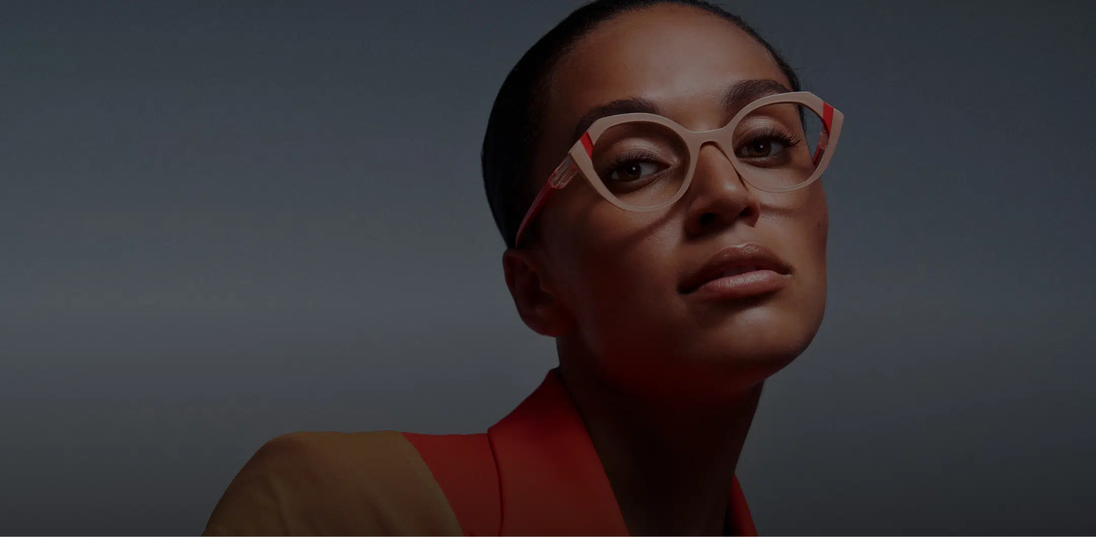 New Look Vision Banner