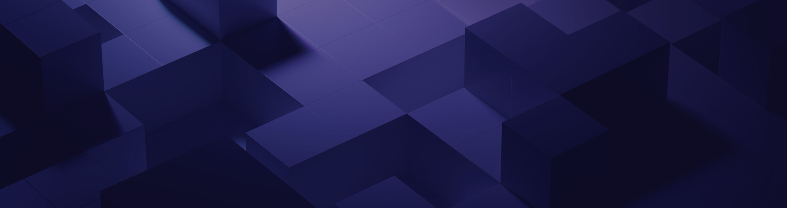 Privacy Policy Banner
