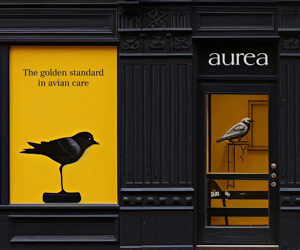 brand_strategy_image_2